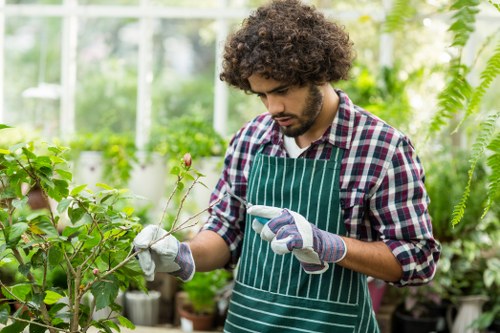 In a bright and lush greenhouse setting, a man with curly dark hair and a beard is engaged in gardening activities. He is wearing a plaid shirt, a green striped apron, and gardening gloves while carefully examining or pruning a small plant or branch. Surrounding him are various potted plants, some with leafy green foliage, and the background showcases a mixture of tall, healthy plants and ferns, creating a vibrant, flourishing environment ideal for gardening services in Anerley. The natural light filtering through the greenhouse glass highlights the textures of the plants, soil, and wooden shelving, emphasizing the care and attention given to plant maintenance and cultivation. This scene reflects professional gardening practices suitable for supporting website content related to lawn care, plant health, and outdoor maintenance services in the Anerley area, capturing the essence of a dedicated gardener tending to a variety of greenery within a well-organized, cultivated indoor garden space.