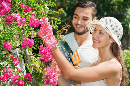 Professionals trimming hedges in a lush garden in Anerley