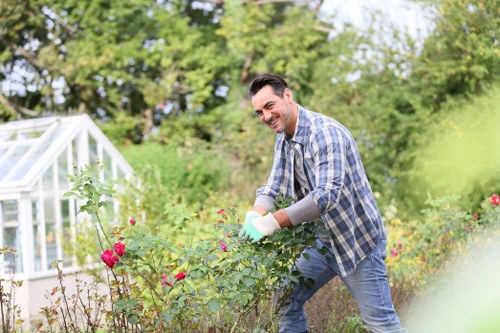 Experienced gardener using trimming tools on dense hedges